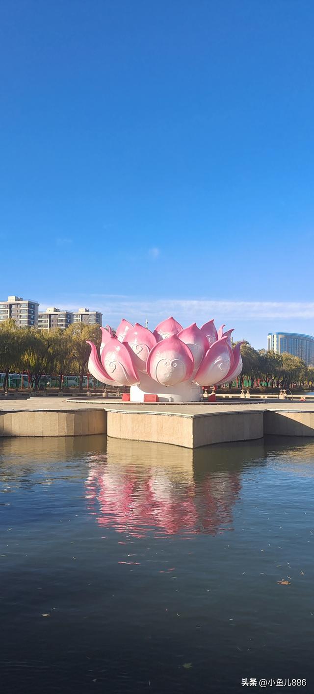 河头老街免费啦