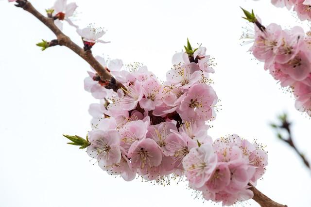 不管你信不信，女性过63岁后，基本都有如下6个现状！要坦然接受