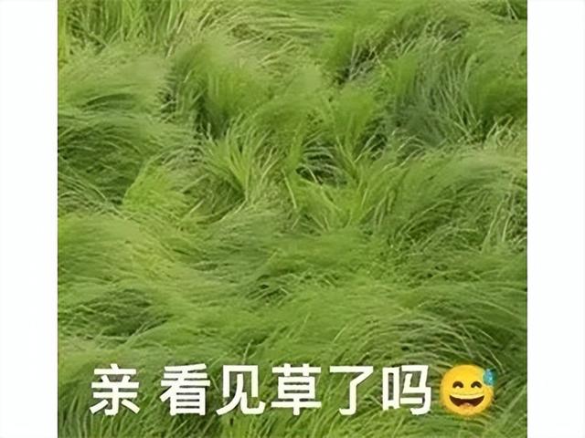 没有原神命，得了原神病！韩国人开发了7年的缝合怪，口碑崩了！