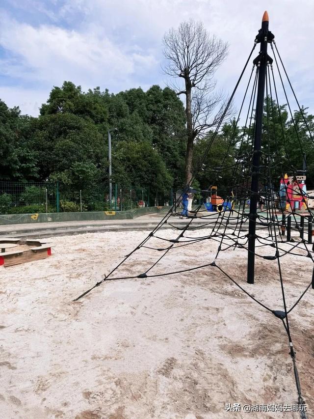 冬日遛娃就去长沙“济州岛”！水杉染红，芦苇摇浪，0元解锁 “橘子海” 日落