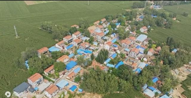 魅力曹县楼庄镇