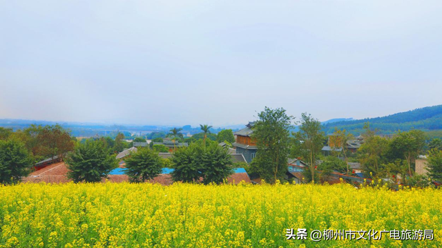 一日柳东，三种浪漫！科技感到田园风一条龙安排！