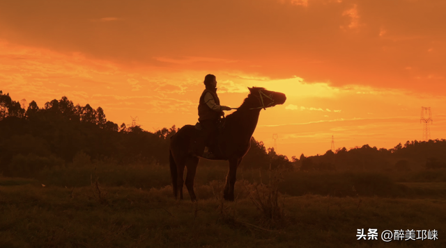 近悦远来·营城兴业丨逛营地、骑骏马！邛崃首家马术野骑营地开启乡村游玩新体验