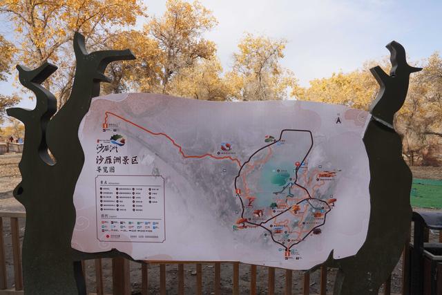 沙雅沙雁洲｜胡杨作画、河水为诗，这里藏着南疆秋天最热烈的模样