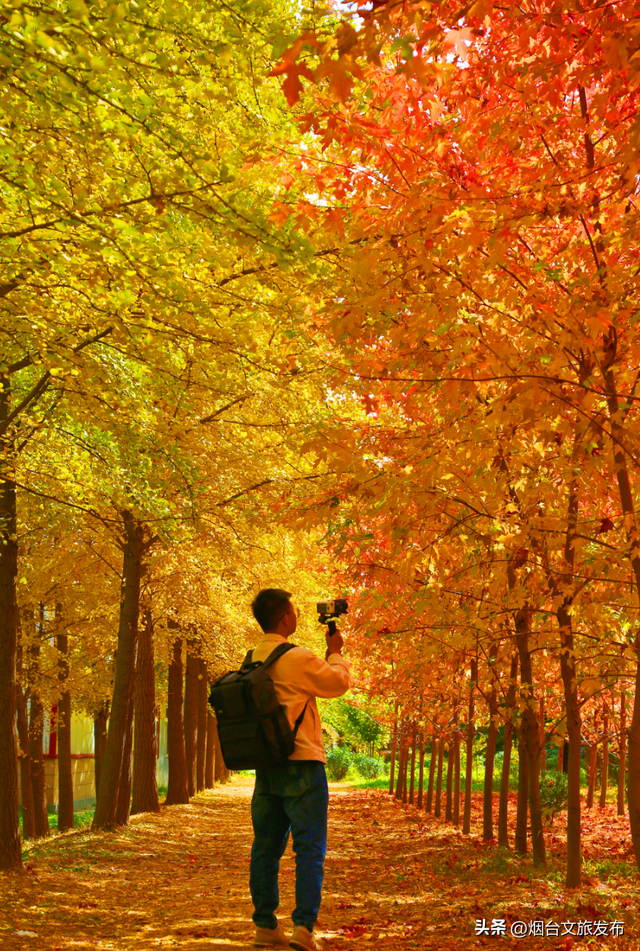 【乐游烟台】这是一份来自“金色梦境”的邀约，一起来撒欢