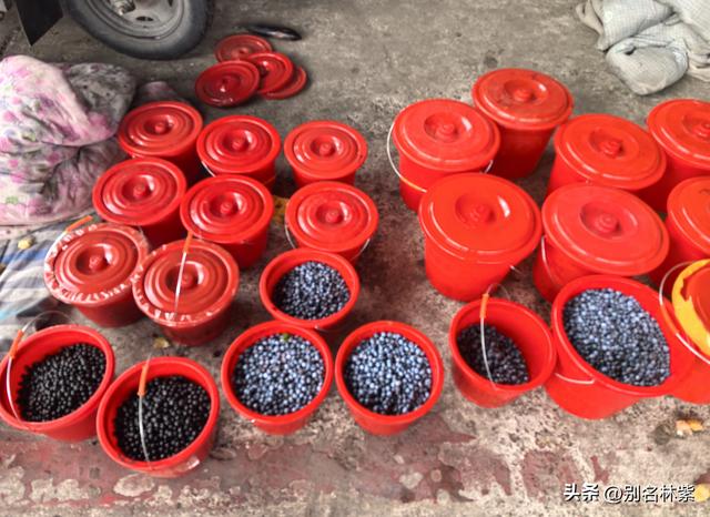 有惊无险的一天，从恩和到莫尔道嘎交通路线分享（16）