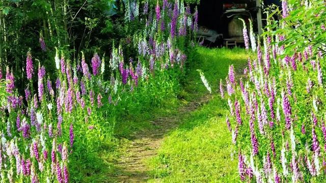 峨眉云深处 堪比阿勒泰