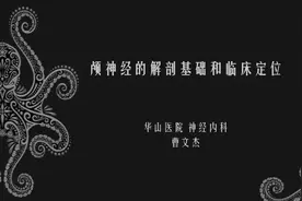 颅神经的解剖基础和临床定位图片