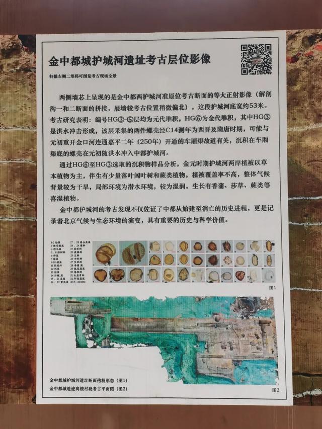 家门口添“绿肺”,丰台这个遗址公园对外开放!