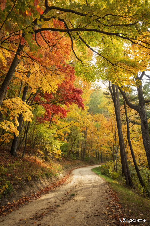 这才叫风景如画，太美了！