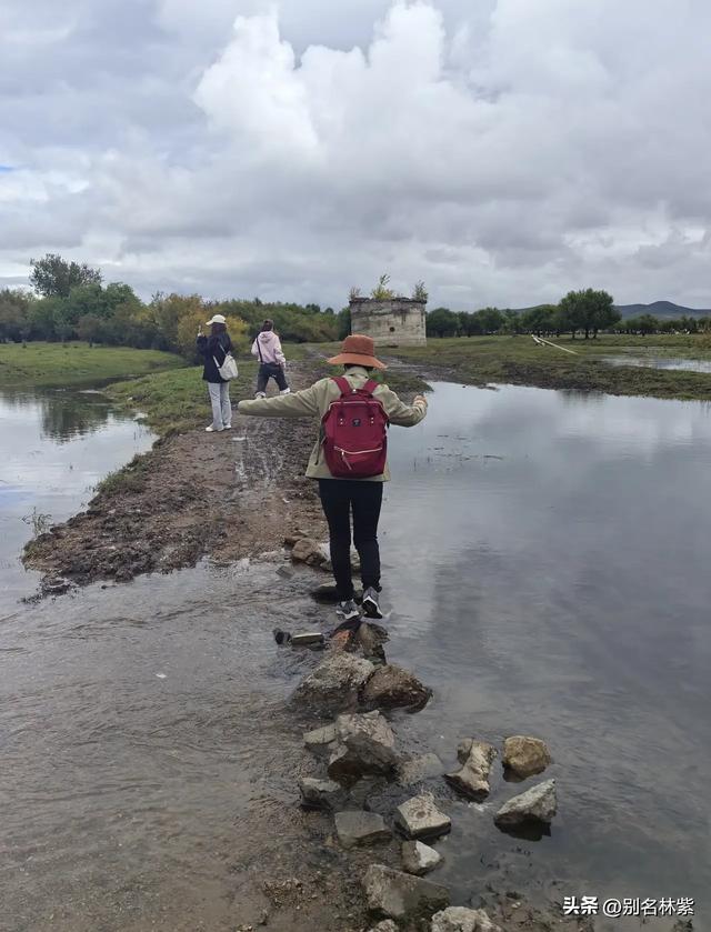 在额尔古纳和网友去了免费的湿地公园,晚上在青旅吃涮羊肉(十)