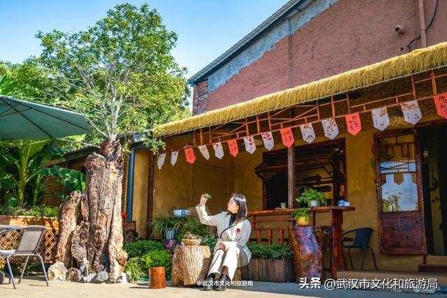 直冲20°C！武汉赏秋天花板，上新3个玩法