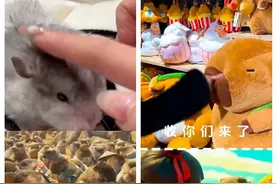 《哪吒2》里的土拨鼠为什么站着吃饭？图片