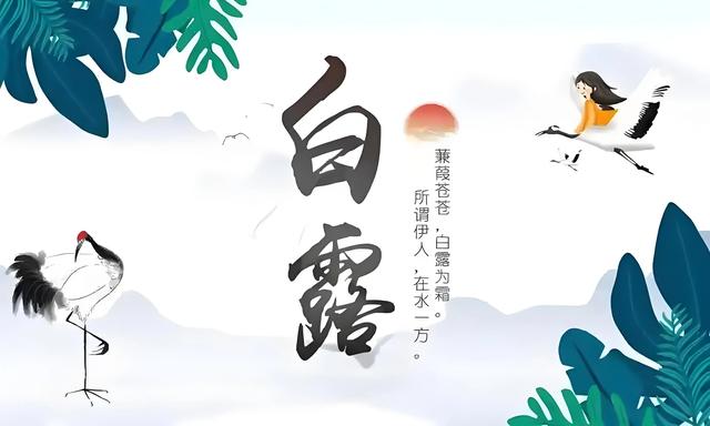 白露：秋霜染尽千山叶，明月空照万家灯。一程山水瘦，一寸相思深