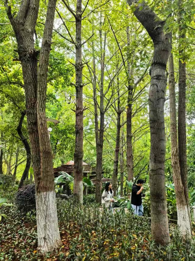 桂林：最是初冬晴午后！