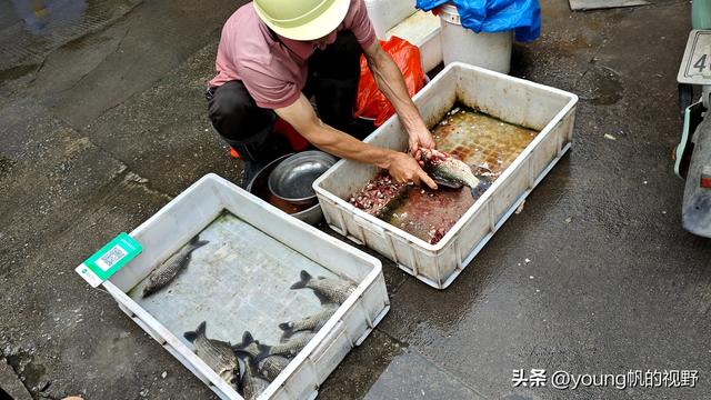 广州南沙金洲，一个充满市井生活气息的地方……