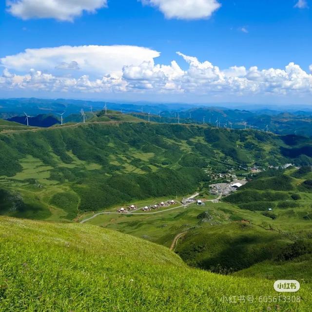 避开人潮！高铁直达20℃冷门小城，花海美过川西、地质景观顶级！16元炫资格美食！
