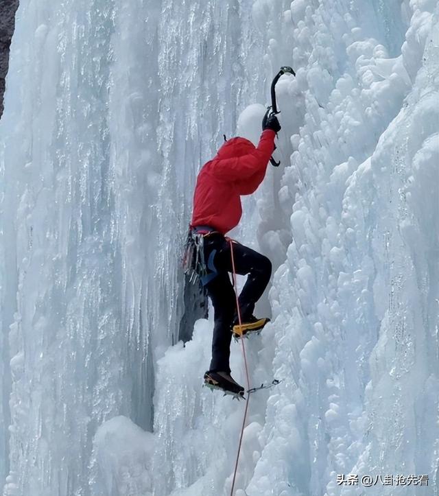央媒怒批、目不识丁，这几位德不配位的“文盲	”明星	，凭啥走红