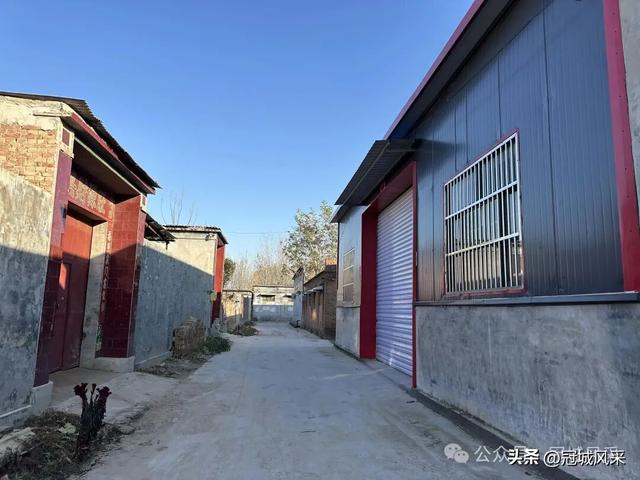 冠县乡韵·贾镇洼里村