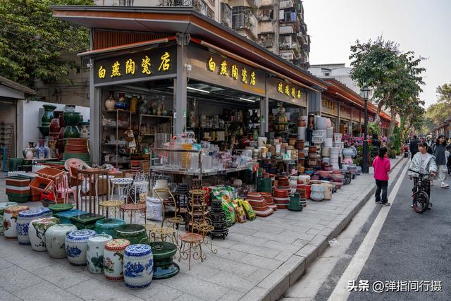 斥资500万！佛山30年花鸟老街，摇身一变成文艺新地标