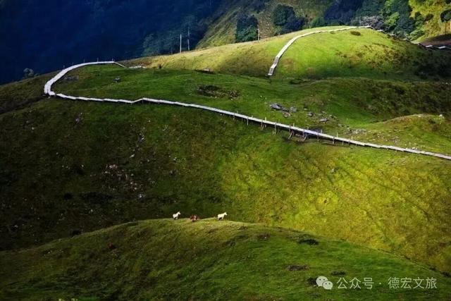 国庆中秋游德宏 | 来芒市，开启一场充满惊喜的探秘之旅！