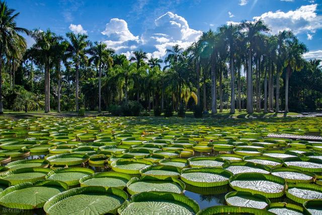 11月-1月，淡季旅行适合去的6个热门城市，人少景美，慢慢游玩