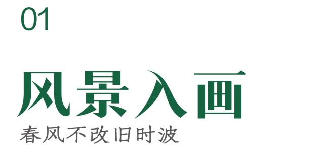 15年后，东栅，你变了吗？