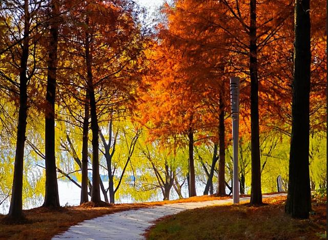 22℃！气温回升！这份温差版江北限定出游指南收好！