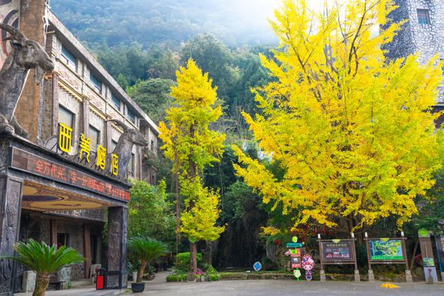 秋假免票福利+非遗羌历年双线发力，九皇山打造秋日文旅新场景