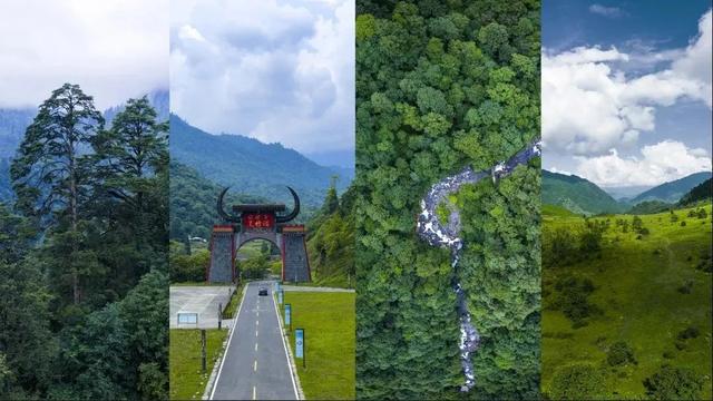 暂别川西！乐山黑竹沟已经美到神仙级！
