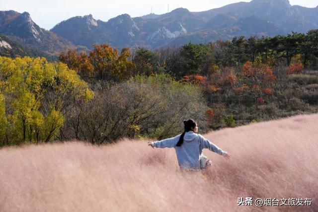 【乐游烟台】烟台绝美赏秋地即将封山，别错过