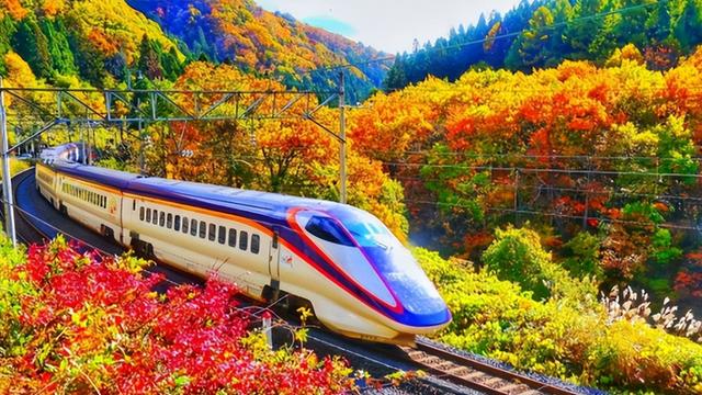 德国专家评价各国高铁：日本还行，法国优秀，中国却用了这4个字