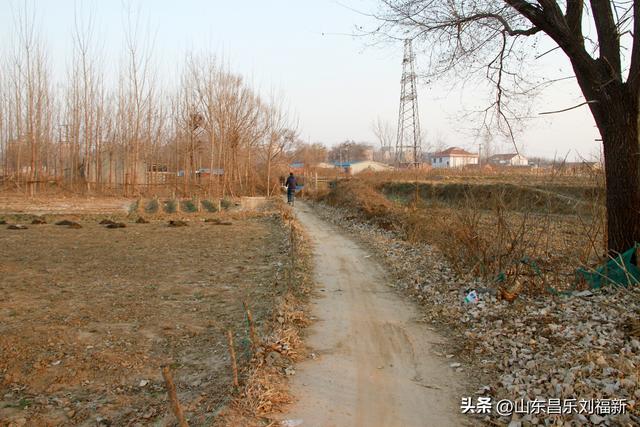 这一次外出闲游感慨颇多