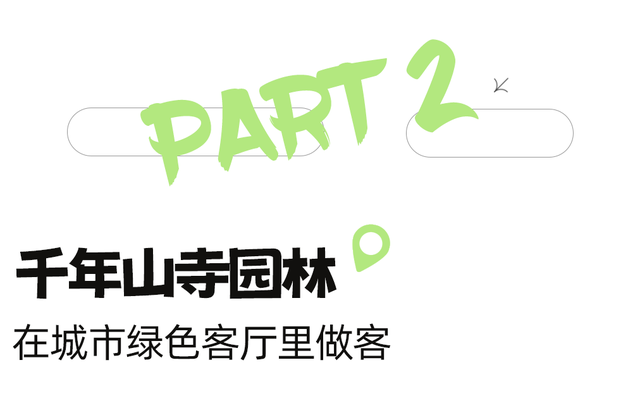 爆火！高铁1.5h！好吃不输乐山，安逸不差成都！这座火遍全国的川南小城是时候被挖掘！