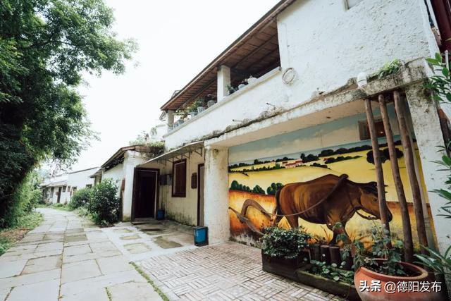 免费！德阳15分钟刹拢！穿竹林、摘果子、拍美片，小众悠闲~