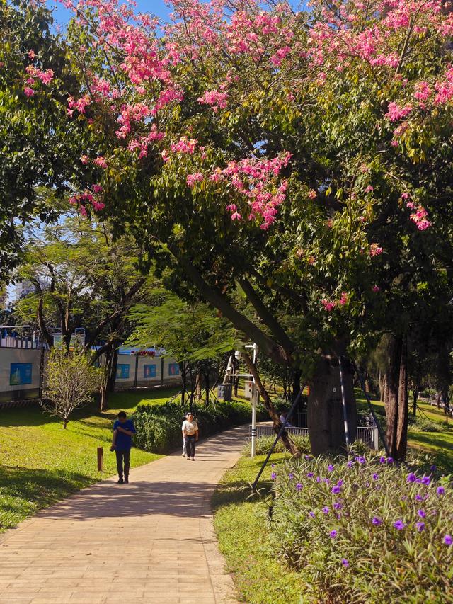 从学苑大道入大沙河绿过大学城后进深圳弯公园流花山景点【高清】