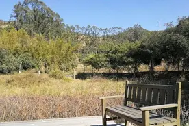 未来3年，养猪养牛和养羊哪个最赚钱？看完这3点，再做决定图片