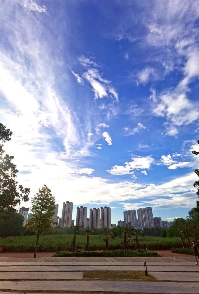 这片绮丽的云,飘进了温县人的梦里……
