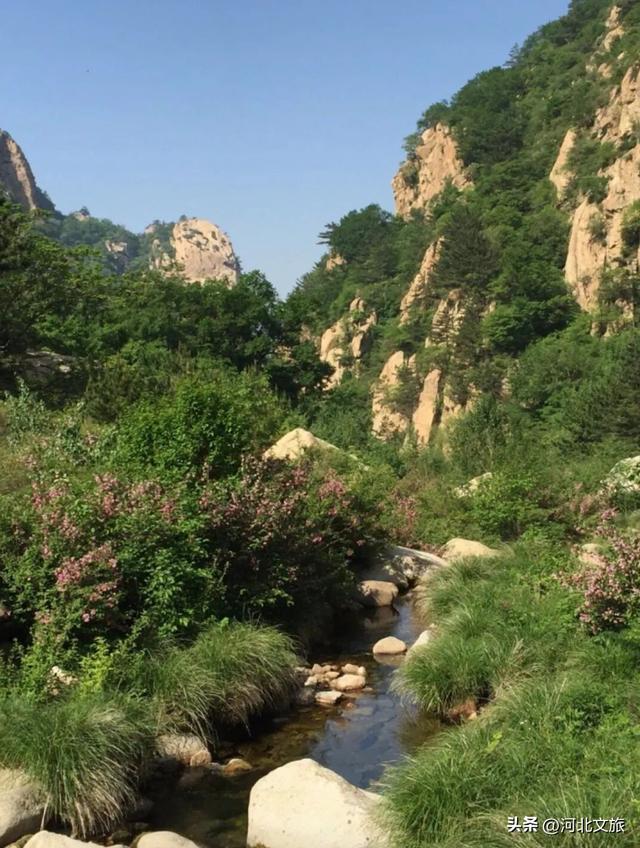 秦皇岛全面开启“宠客”模式！景区免费特惠，免费停车、免费专线！