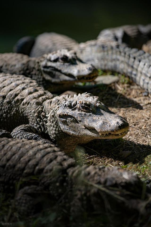 说它是安徽区域位置最好的城市，应该没人会反对吧？
