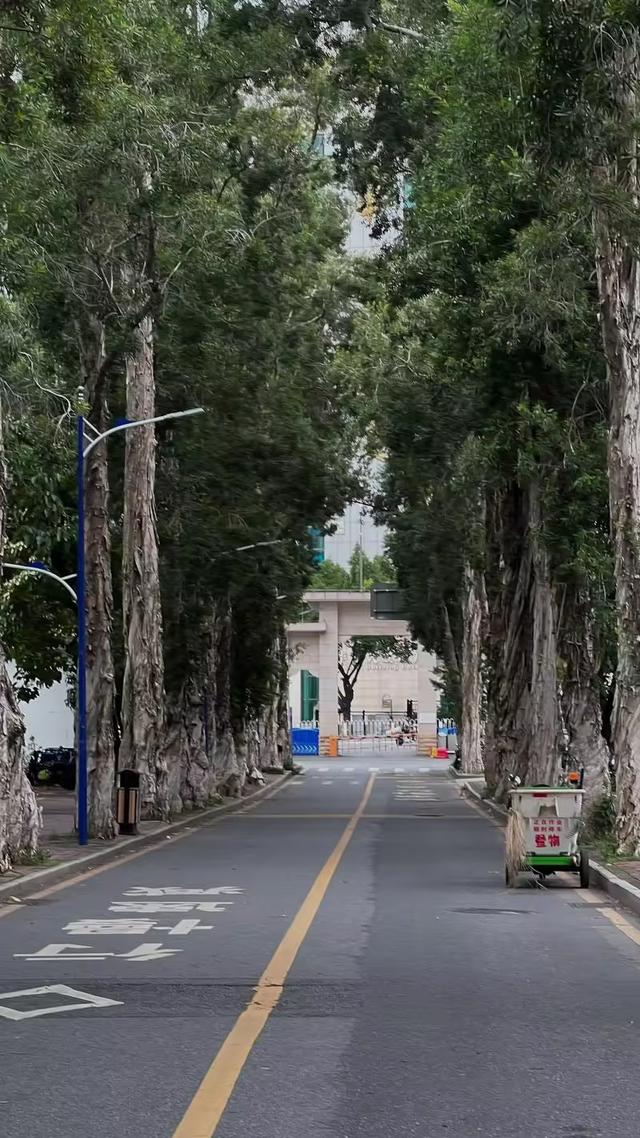 又来广东之十九 广东篇之七 暨南大学（1）