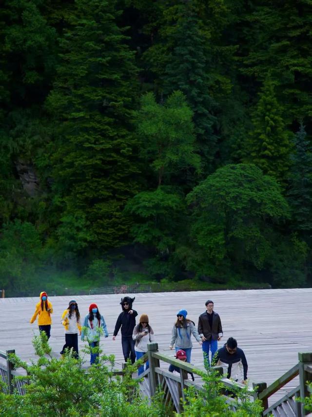 暑期带娃，一场自然与科学的启蒙之旅