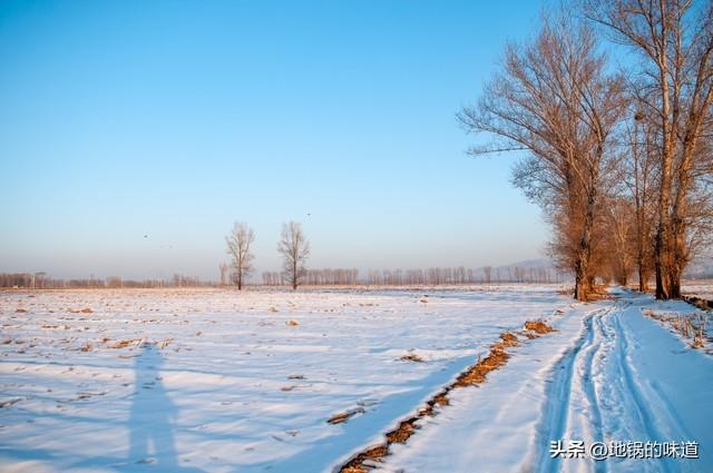 今年“一九”天不冷，老人说最怕“一九暖”，一九暖和有啥可怕