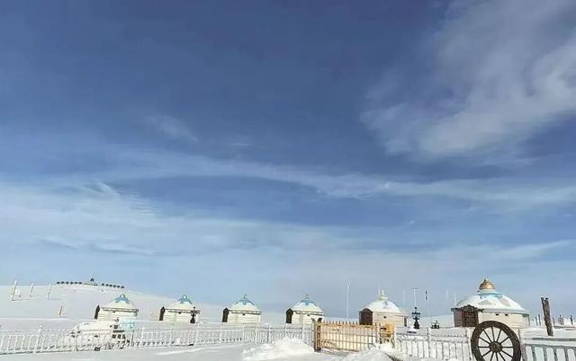 冬季的草原藏着你没见过的生机