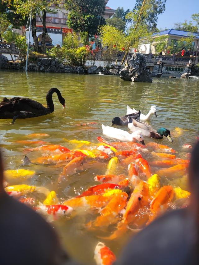 湛江下一个主城或将诞生？不是赤坎、霞山，堪称最具黑马相的城区