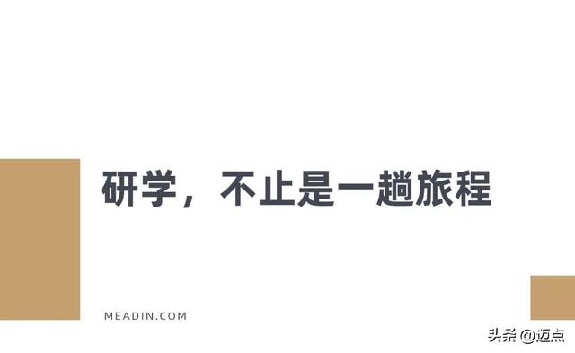 一场研学激活一方文旅？