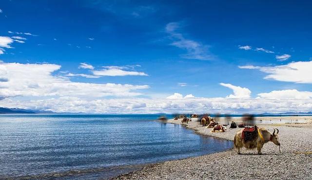 冬天游西藏才是真聪明！人少景美，关键还省钱。