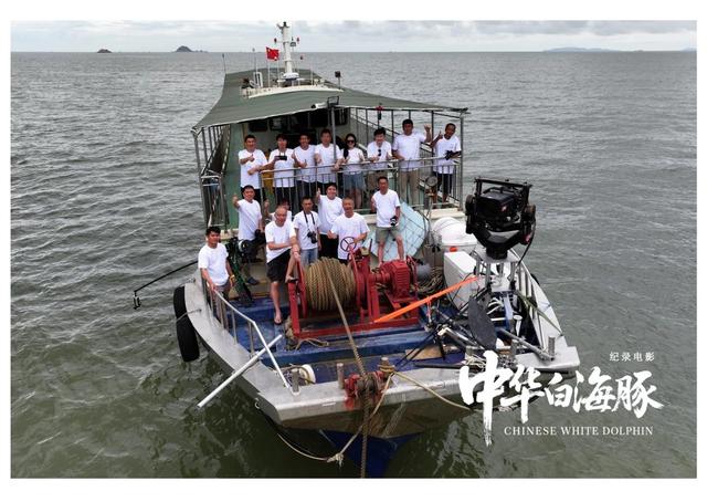 纪录电影《中华白海豚》今日上映，解锁粤港澳大湾区生态人文密码