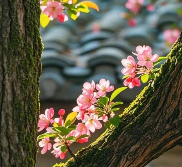 上海人刚从保定市回来，真心建议：别随便去保定市，除非你做好