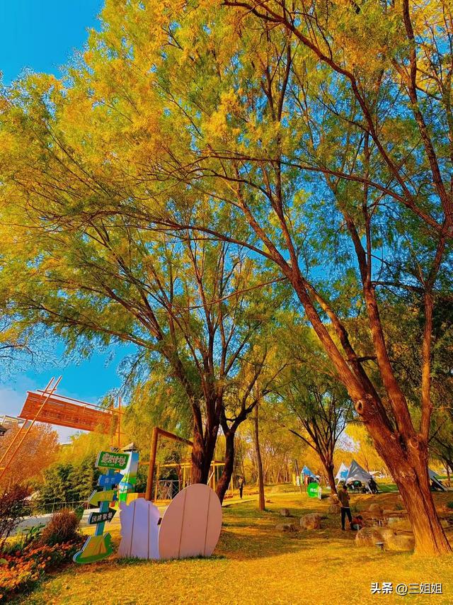 郑州冬日去哪晒暖，发现一个烧烤自由的露营基地